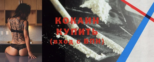 шишки Медногорск