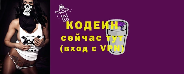 шишки Медногорск