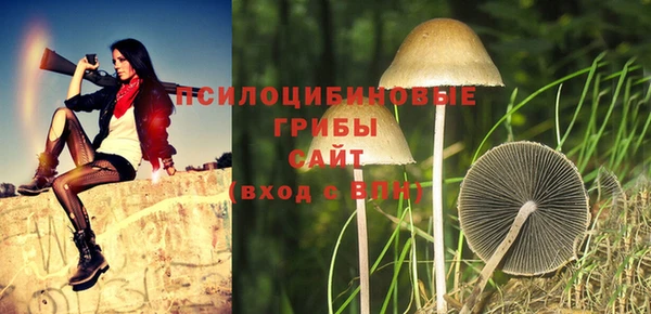 шишки Медногорск