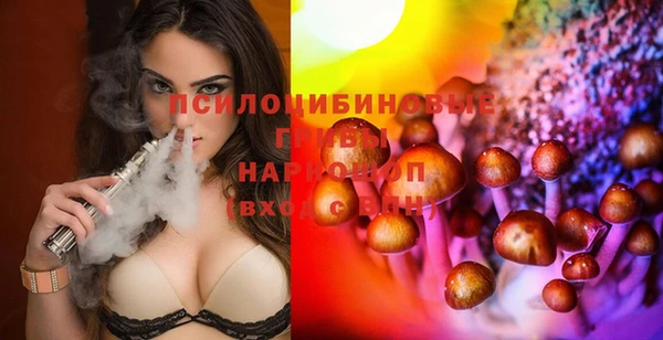 шишки Медногорск