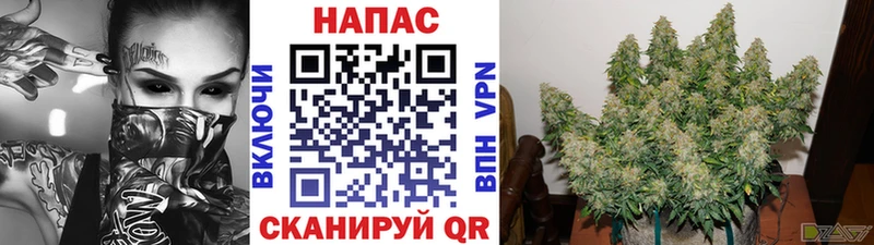 Марихуана тримм  Чердынь 